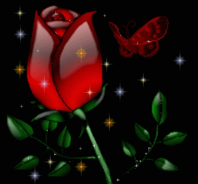 Trs belle rose
