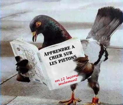 Apprendre a chier sur les pietons