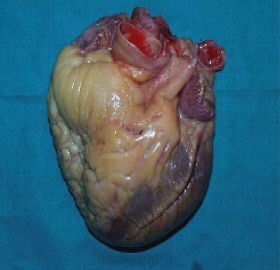 vous trouvez sa beau alors regarder