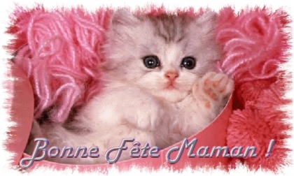 Bonn fete des mre a toute les mre