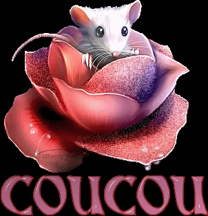 coucou