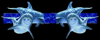 barre de s�paration