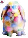 lapin color�