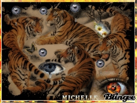 trop m�ga maga beaux