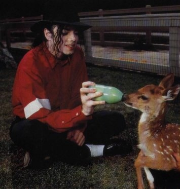 les photos marrantes & mimi comme ont les aimes =P