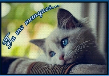 tu me manque!!!!