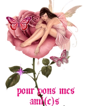 pour vous!!!!!