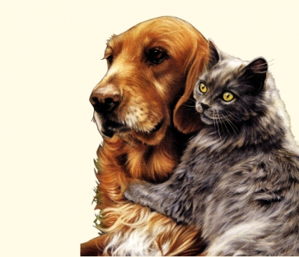 je le jure que!!!!!!!