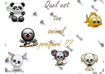 quel est ton ????????