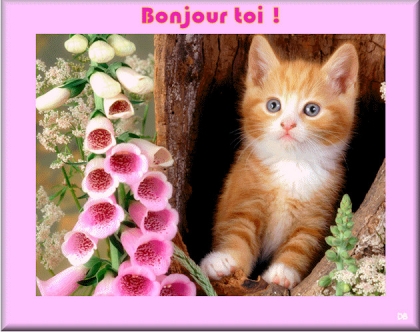 bonjour a tous! ! ! ! ! ! !