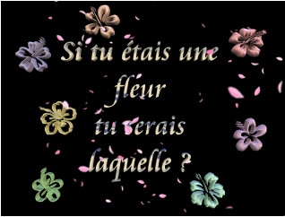 si tu �tais une fleur ! ! ! ! ! !