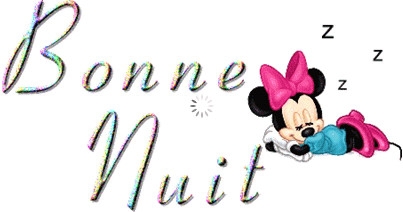 bonne nuit RIKKI17........