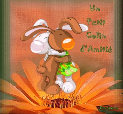 calin d'amiti�