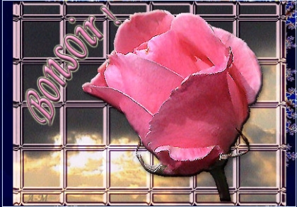 cc bsr qui est connect�e??????????????