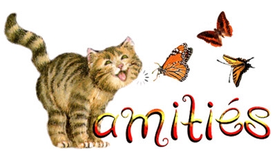 a.m.i.t.i.�.......