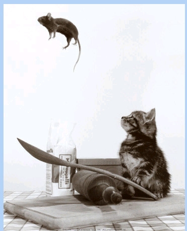 tr�s.......drole.........