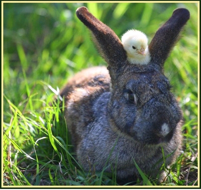 tr�s...coooooooool