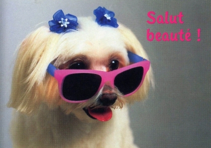 svp.svp.venez voir cette beaut�e!!!!!!!!!!!!!!