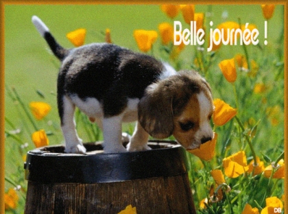 belle...journ�e......