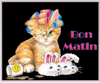 tr�s.....tr�s....Rigolo.........