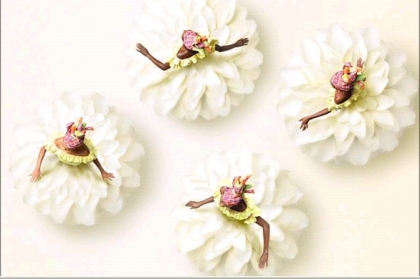 tr�s belle imange de........