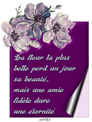 C'EST...POUR...VOUS....