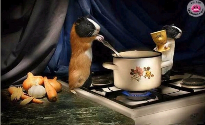 R I G O L O ! ! ! ! ! ! ! ! !