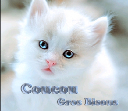 gros bisous.........