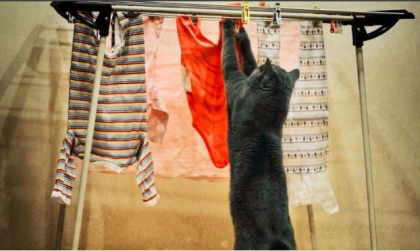 TRES...RIGOLO...HA...HA...HA....