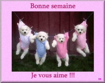 c'est...tr�s...rigolo......