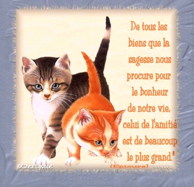 citation ! ! !! ! ! !