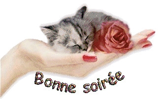 bonne soir�e......