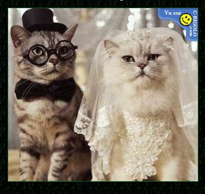 beaux couple..........