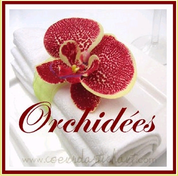 Orchid�e......
