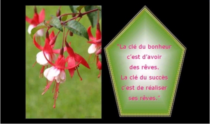citation......