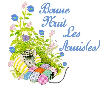 bonne nuit les amies......
