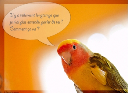 pour ma meilleurs amie......