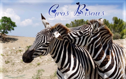 gros..bisous.....