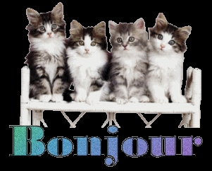 bonjour