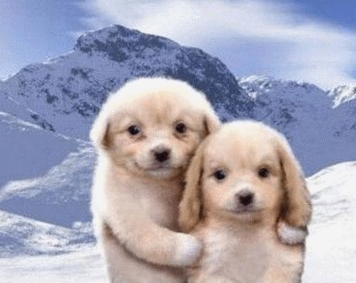 euh lacher des com svp merci d'avance♥♥♥♥♥