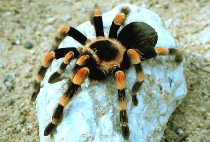 aaavvvveeezzz vvvvouuuusss uuunnneee ppphhhooobbbiiieeee!!!!!!!!!!!!!!!!!!!!!!!!!!!!!!!!!!!!!!!!!!!!!!!!!!!!!!!!!!!!!!!!!!!!!!!!!!!!!