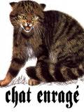 chat enrag