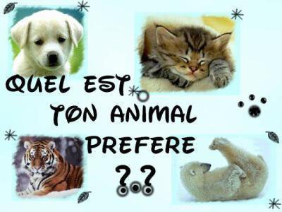 ton animal 