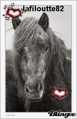 pour lafiloutte82