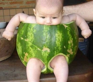 le petit et dans un pastec 