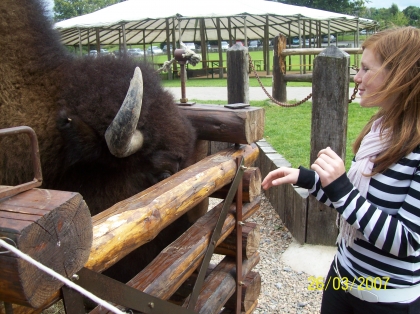 le bison coco