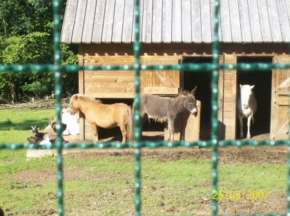 en vancance au parc des animaux