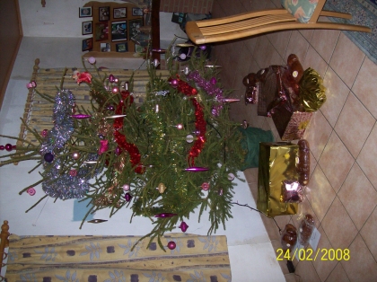 le sapin