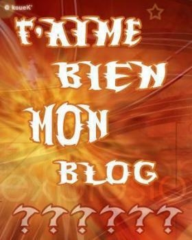t'aime bien mon blog?