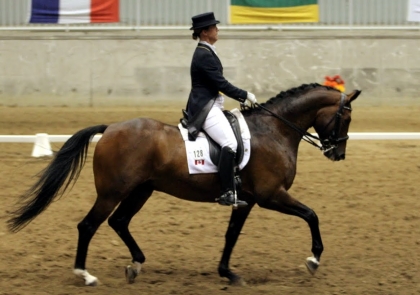 quelle est ton sport prferer et que tu pratique?